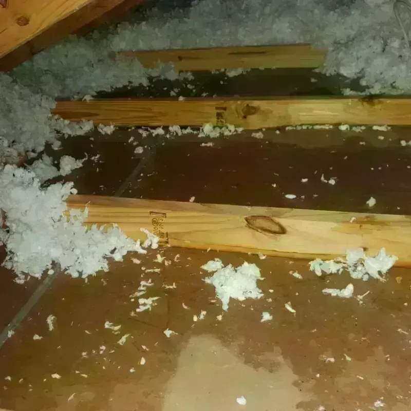 Attic Water Damage in La Fermina, PR